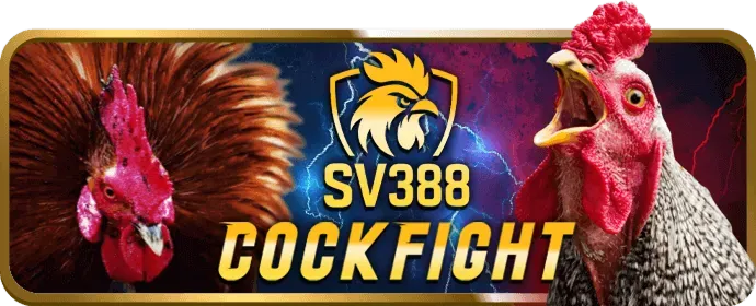 Hoàn trả không giới hạn tại nhà cái fun88